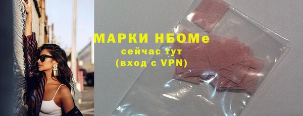 шишки Краснослободск