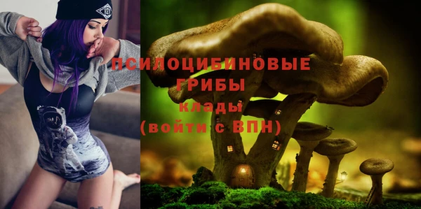 молекула духа Краснотурьинск