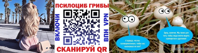 сайты даркнета клад  цены наркотик  Олёкминск  Галлюциногенные грибы ЛСД  гидра  